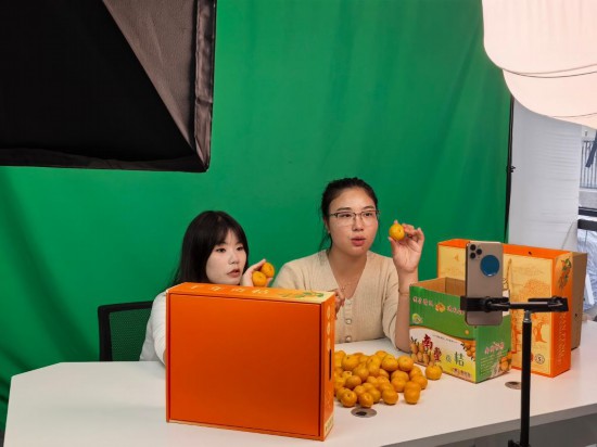 在江西省撫州市南豐縣，工作人員正通過線上直播售賣南豐蜜桔。新華社記者 熊家林 攝