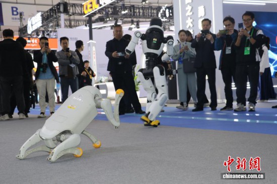 中新社記者 胡豐盛 攝